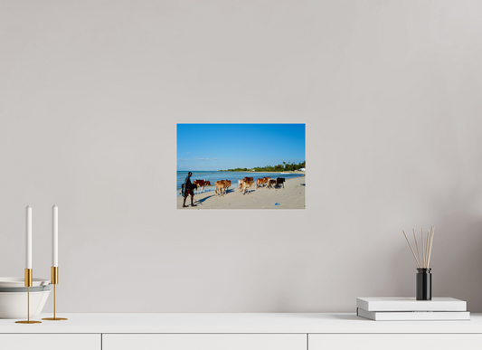 Maasaï transhumance III (Tanzanie, Zanzibar)