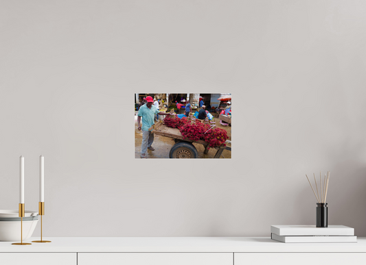 Ramboutan (Tanzanie, Zanzibar)