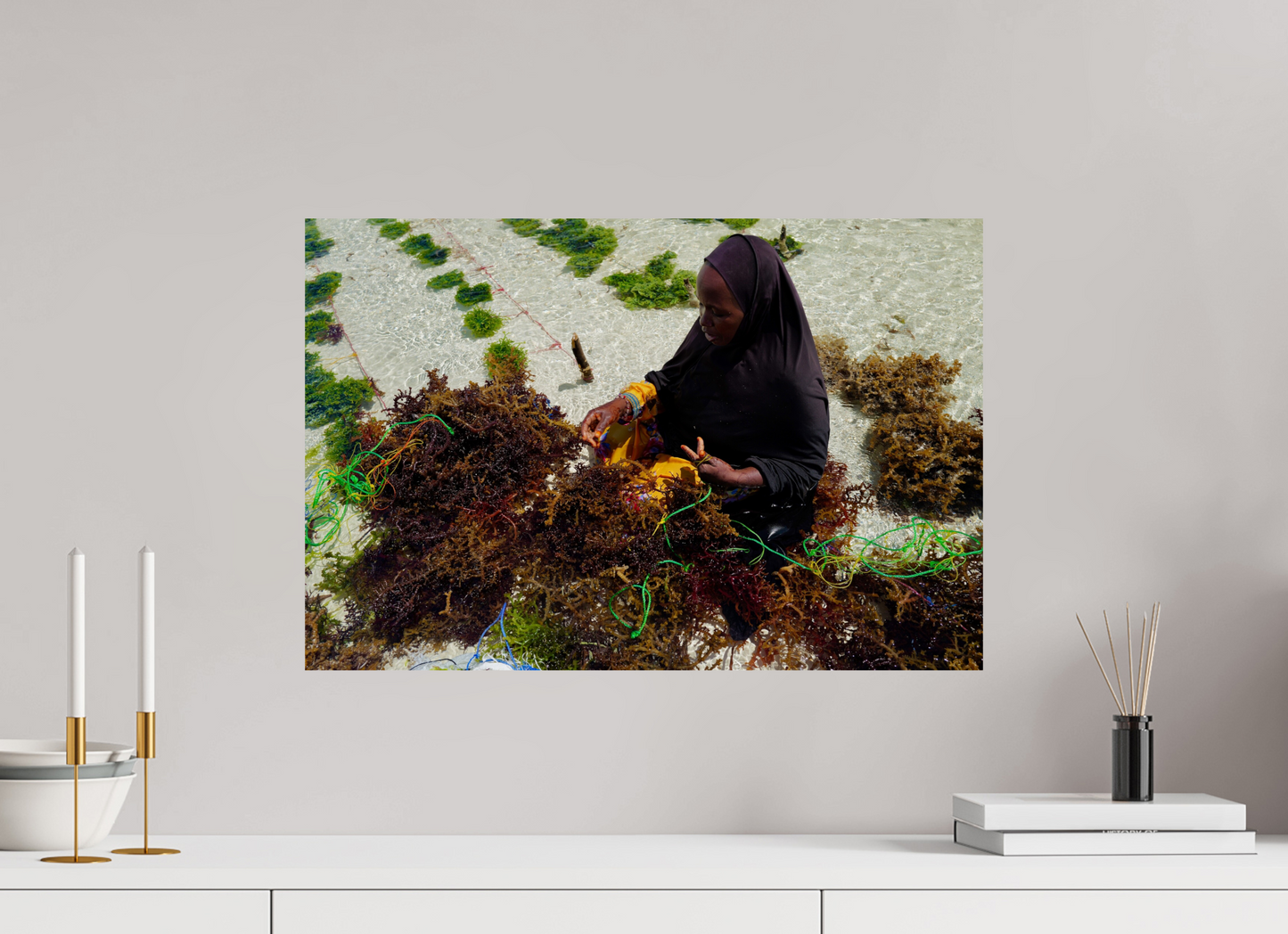 Seaweed harvest V (Tanzanie, Zanzibar)