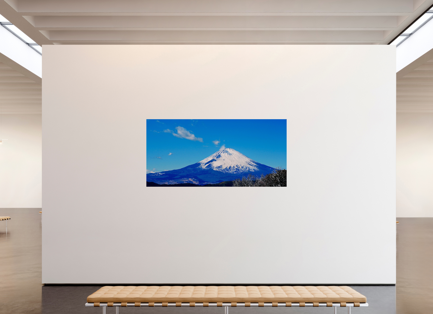 Fujisan (Japan, Ōwakudani)