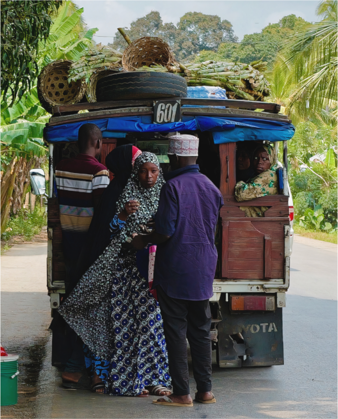 Rural boarding (Tanzania, Zanzibar)