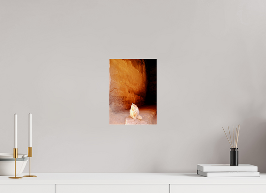 Heir of Nabataea (Jordanie, Petra)