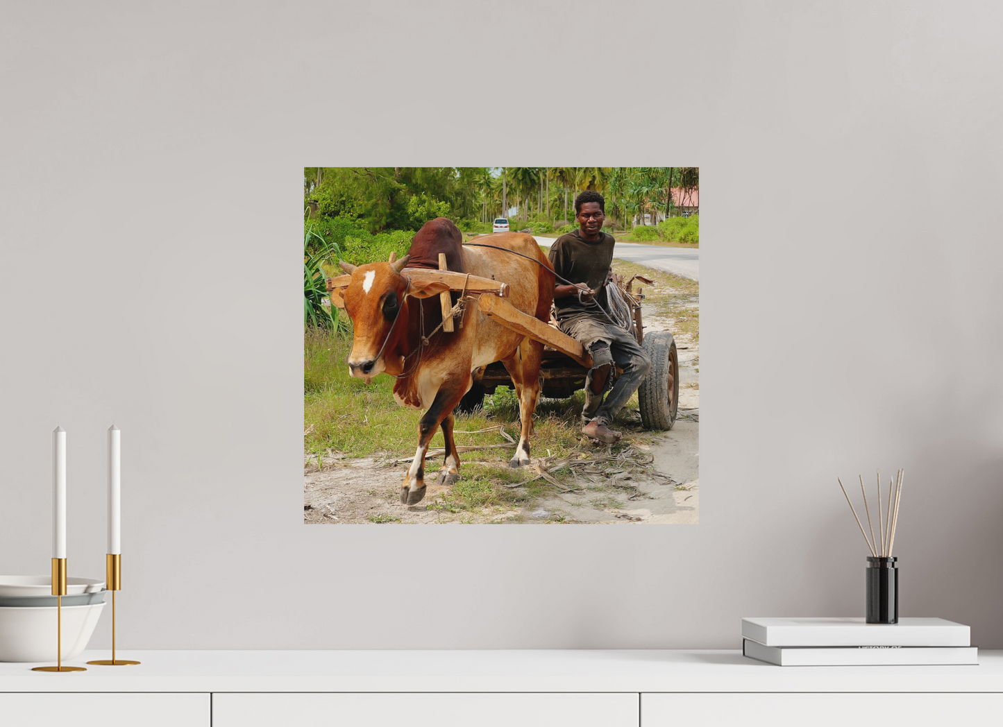 No zebu (Tanzania, Zanzibar)
