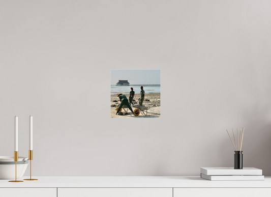 Or pourpre de l'océan (Tanzanie, Zanzibar)