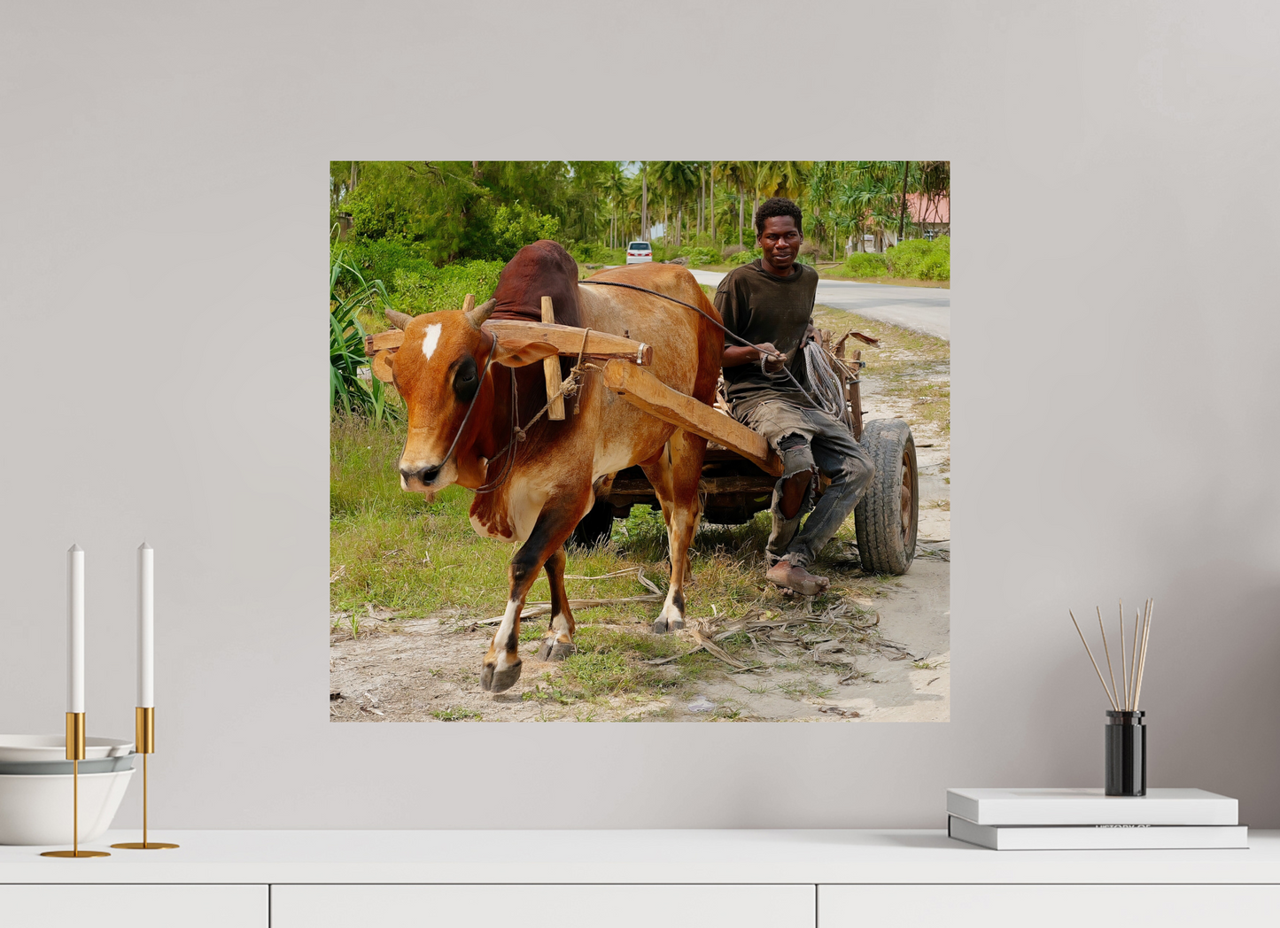 No zebu (Tanzania, Zanzibar)