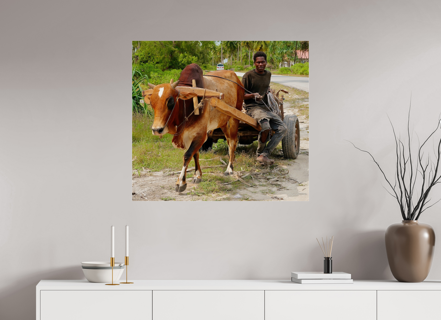 No zebu (Tanzania, Zanzibar)