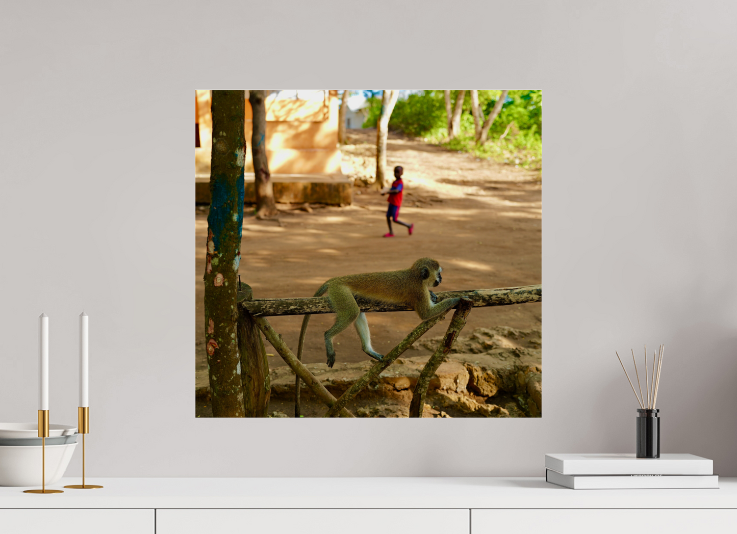 Monkey rest (Tanzania, Zanzibar)