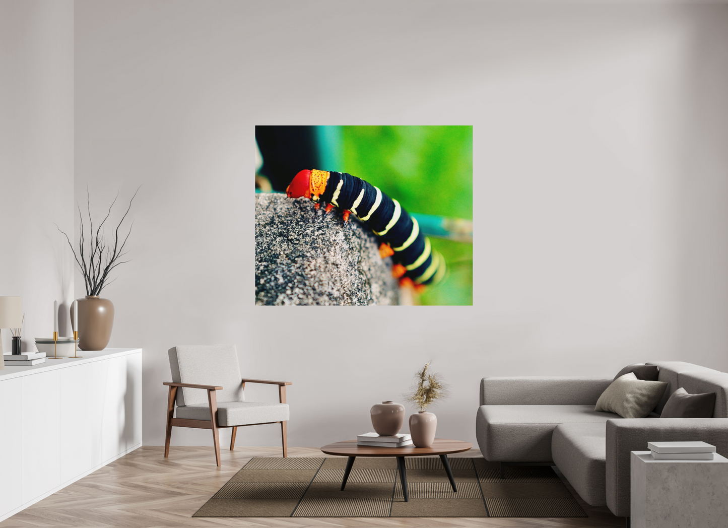 Frangipani caterpillar (Guadeloupe, Vieux Fort)