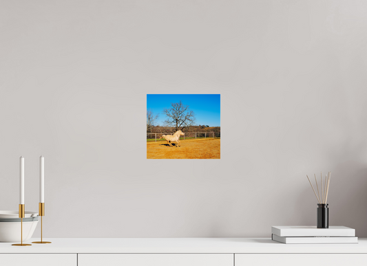 Rodeo d'ocre (France, Gers)