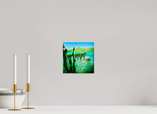 Séchés par les dieux (Grèce, Antiparos)