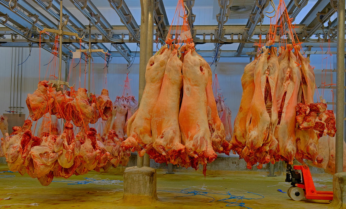 Suspendus du Système (France, Rungis)