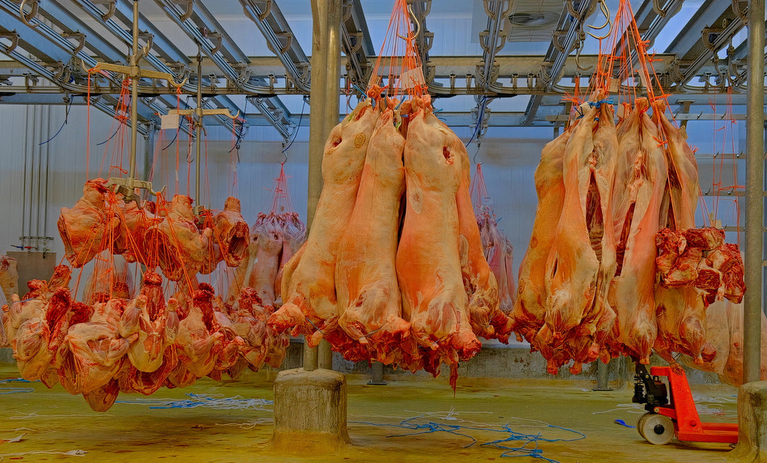 Suspendus du Système (France, Rungis)