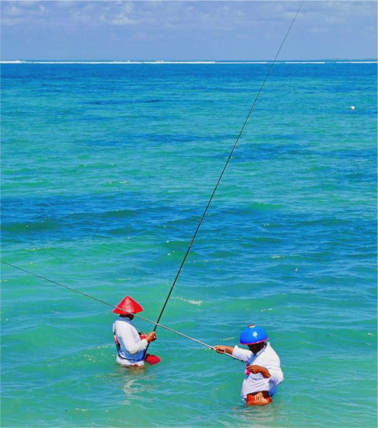Sabre fishermen (Indonesia, Bali)