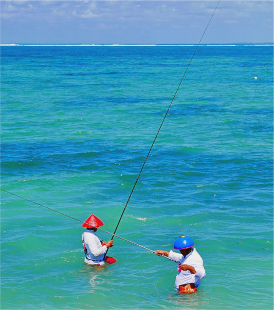 Sabre fishermen (Indonesia, Bali)