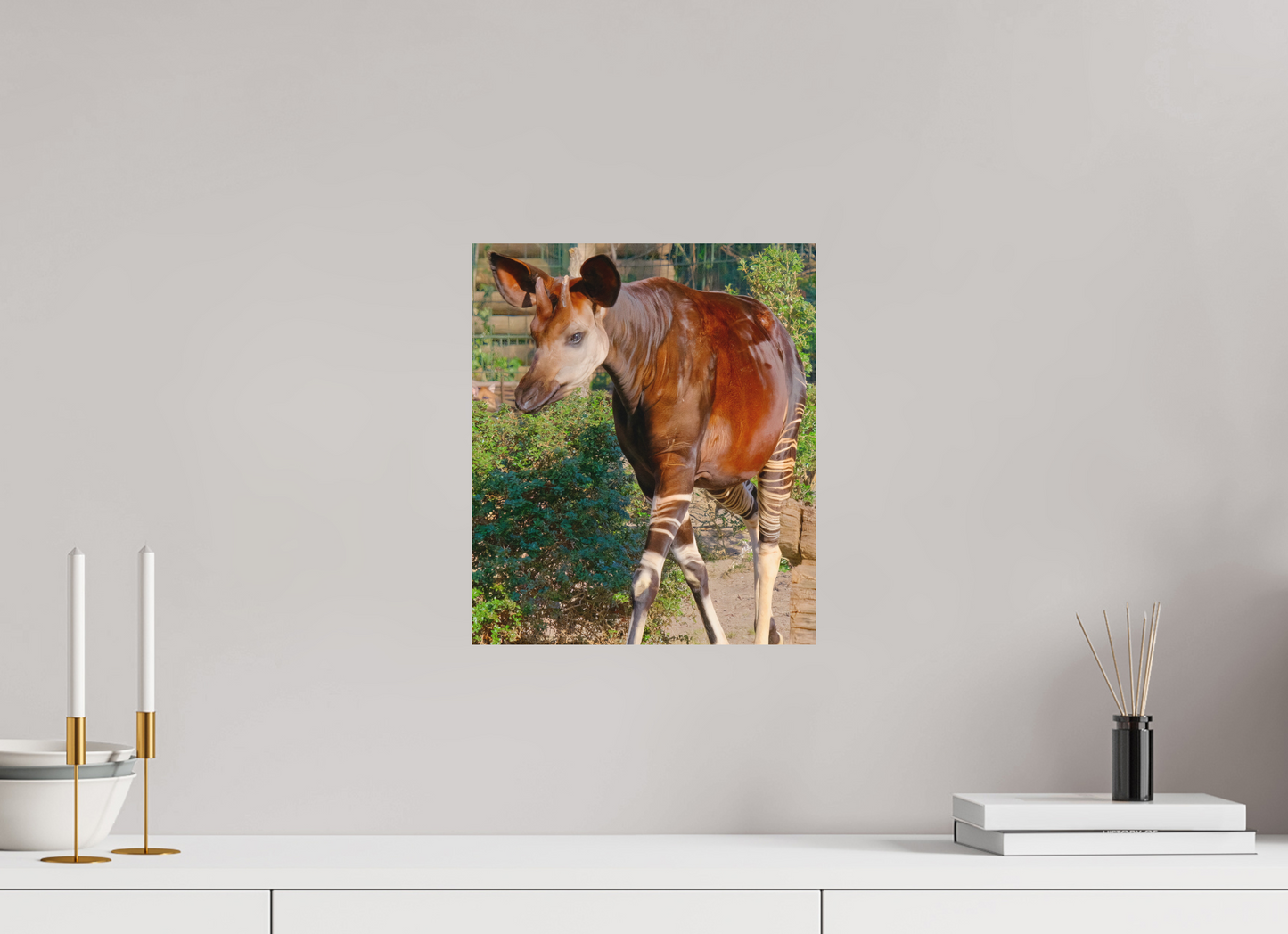 30 x 35 cm, Impression mate fine art sur alu dibond (prête à être accrochée) Okapi (Allemagne, Berlin)