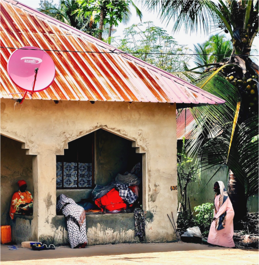 Moments (Tanzania, Zanzibar)