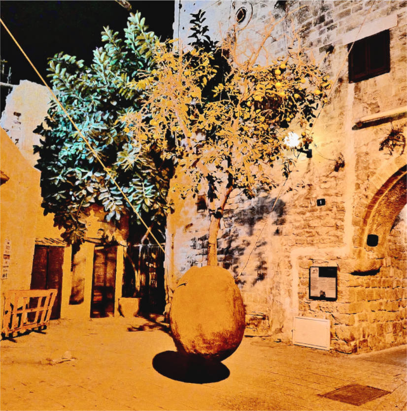 Main image L’ombre du fruit (Israël, Tel Aviv)