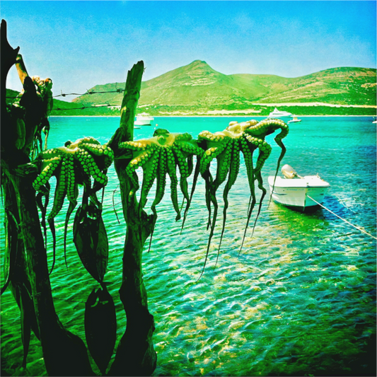 Dried by the gods (Greece, Antiparos)
