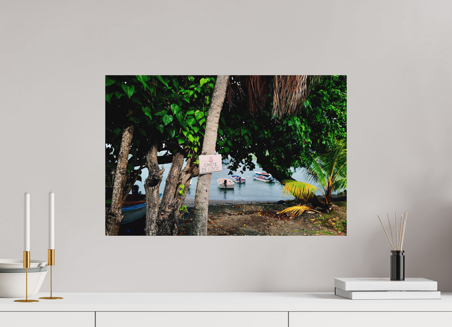 Falling coconuts (Guadeloupe, Les Saintes)
