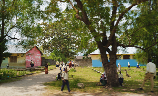 Studious Dawn (Tanzania, Zanzibar)