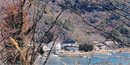 Interlacing (Japan, Hakone)