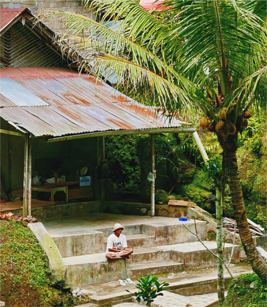 Living in silence (Indonesia, Bali)