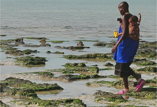 Carried by the sea (Tanzania, Zanzibar)