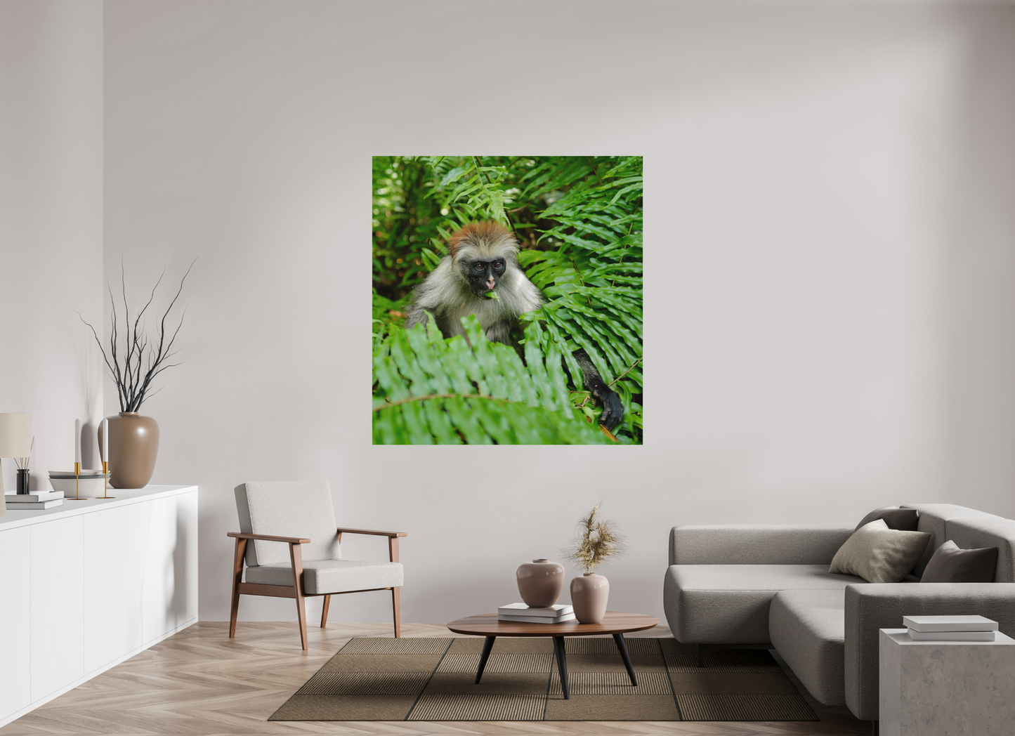 Red monkey V (Tanzania, Zanzibar)