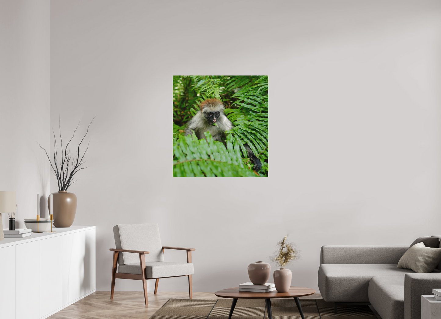 Red monkey V (Tanzania, Zanzibar)