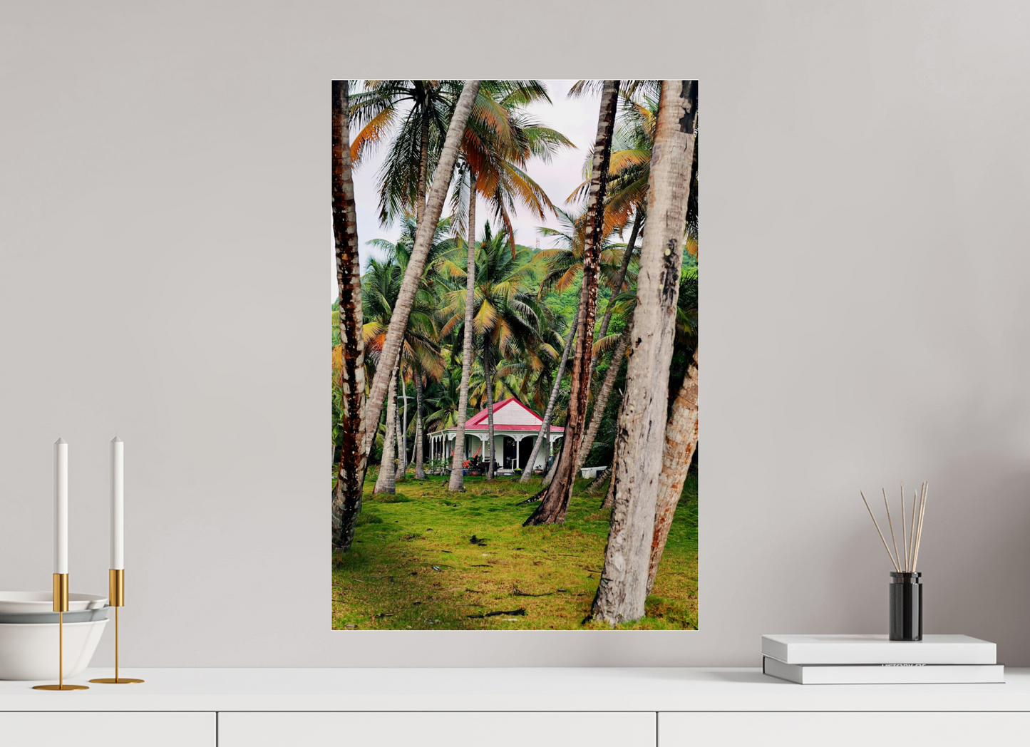 Creole canopy (Guadeloupe, Les Saintes)