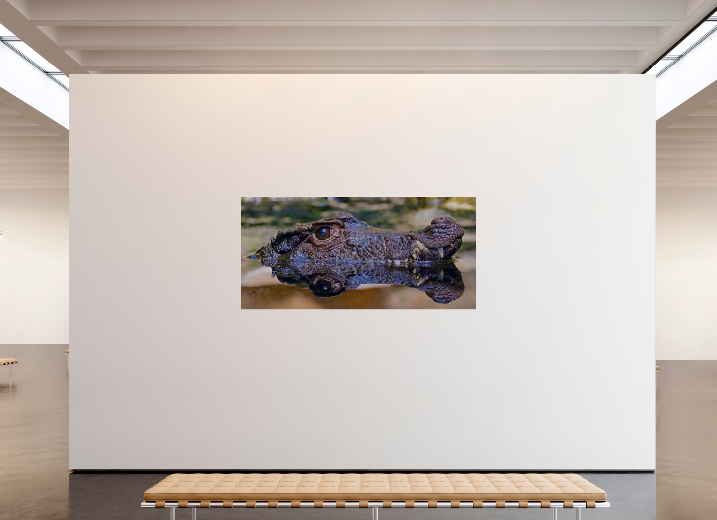 210,8 x 100 cm, Impression brillante fine art sur alu dibond (prête à être accrochée) Patience des profondeurs (Allemagne, Berlin)