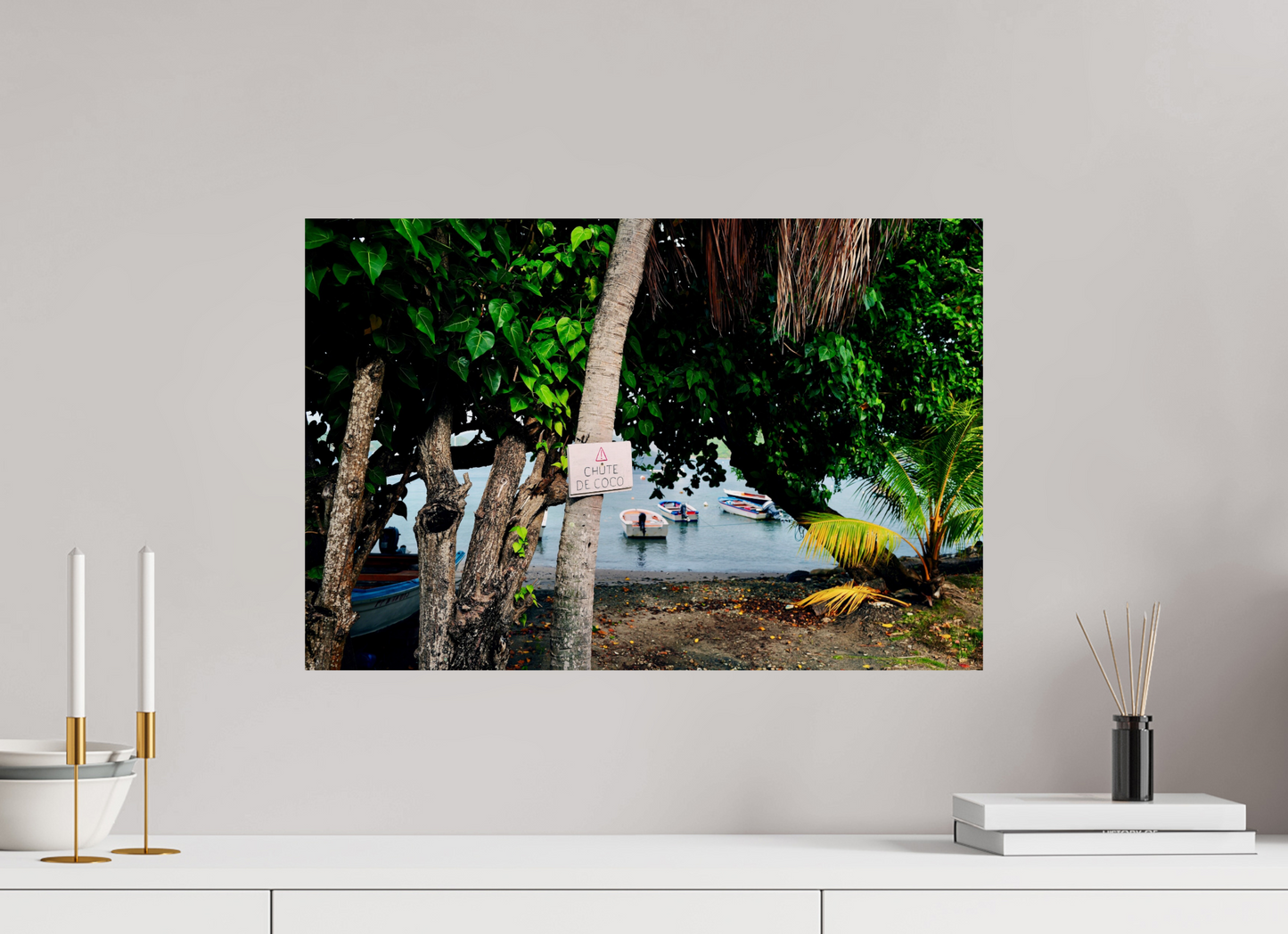Falling coconuts (Guadeloupe, Les Saintes)
