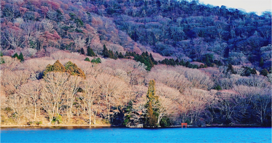 Sacred Shore (Japan, Hakone)