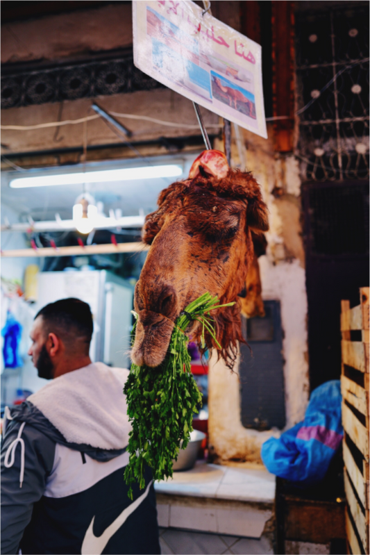 One or two bumps? (Morocco, Fez)