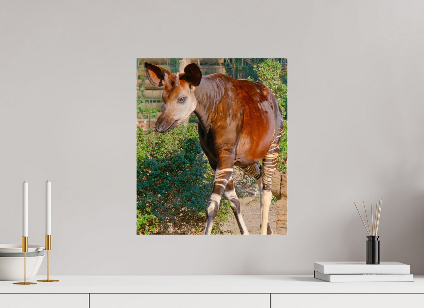 40 x 46,7 cm, Impression brillante fine art sur alu dibond (prête à être accrochée) Okapi (Allemagne, Berlin)