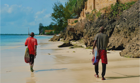 Uvuvi (Tanzania, Zanzibar)