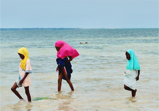 Tender wake (Tanzania, Zanzibar)