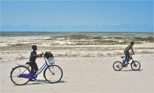 Freewheel (Tanzania, Zanzibar)