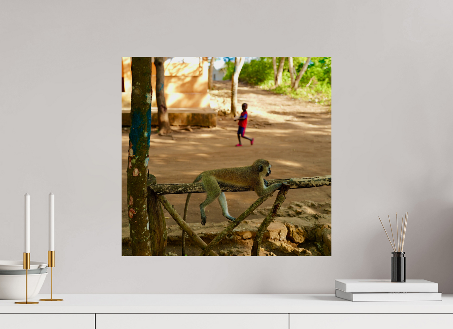 Monkey rest (Tanzania, Zanzibar)