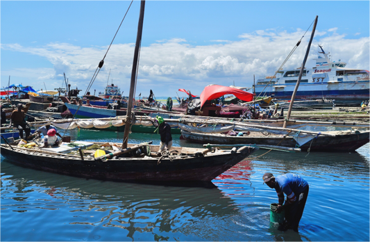 Malindi Port XII (Tanzania, Zanzibar)