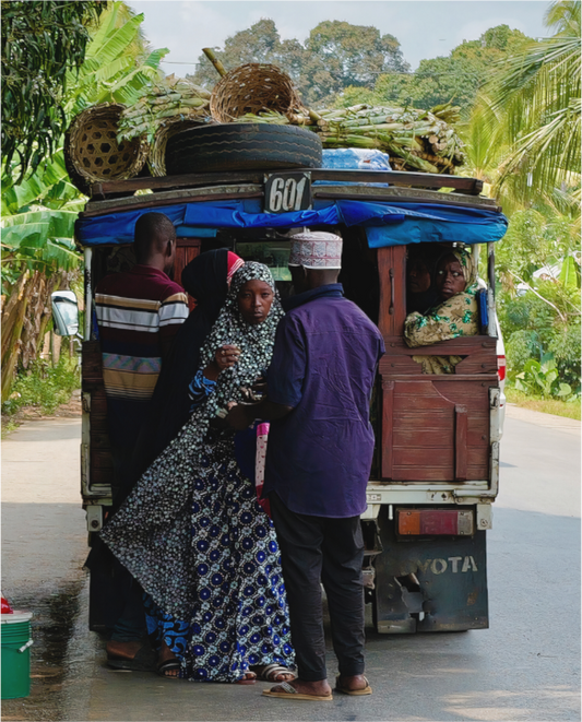 Rural boarding (Tanzania, Zanzibar)
