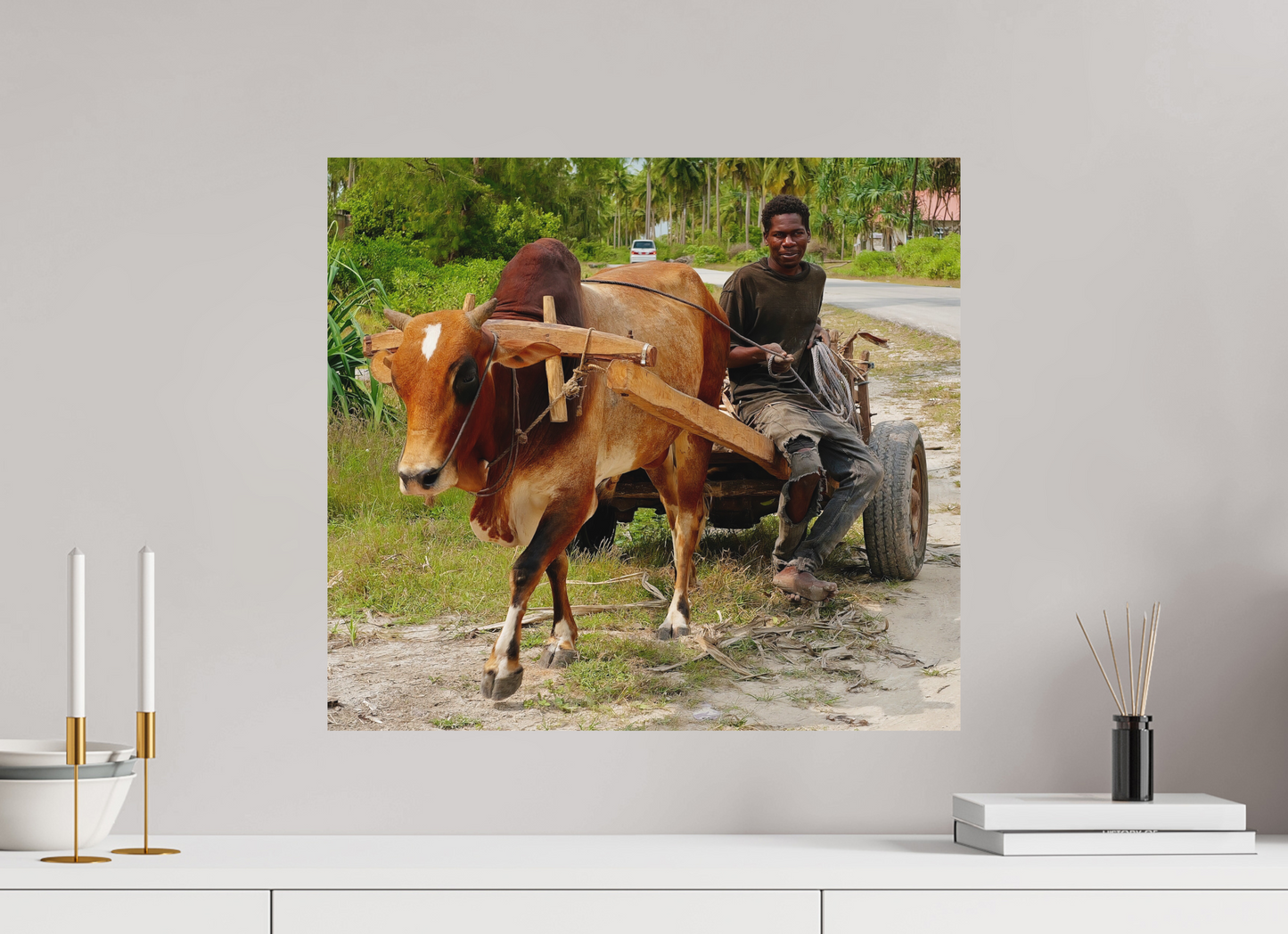 No zebu (Tanzania, Zanzibar)