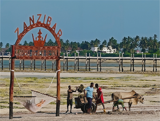 Contrasts (Tanzania, Zanzibar)