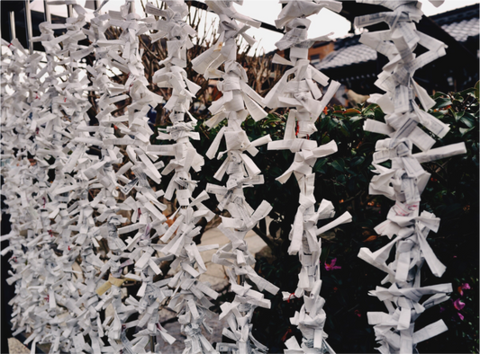 Omikuji, Son of Destiny (Japan, Kyoto)