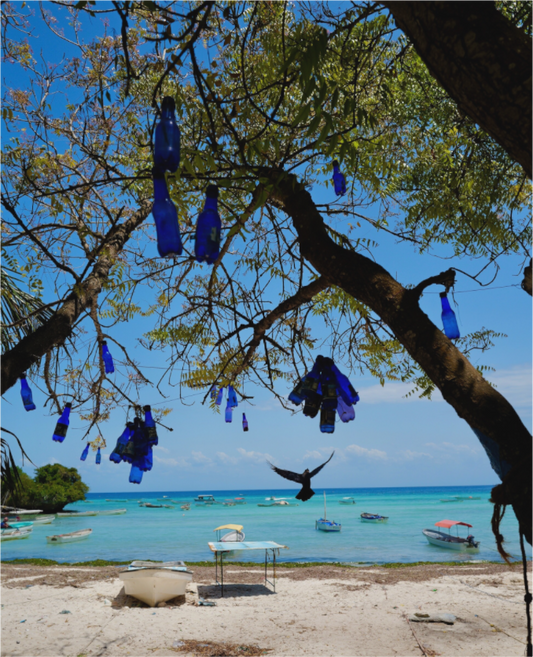 The Blue Song of the Trees (Tanzania, Zanzibar)