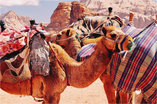 Caravanserail III (Jordan, Wadi Rum)