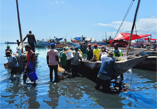 Malindi Port XI (Tanzania, Zanzibar)