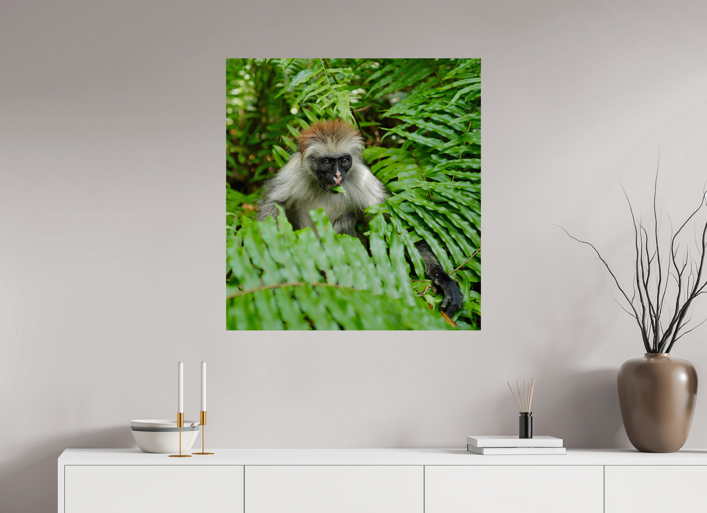 Red monkey V (Tanzania, Zanzibar)