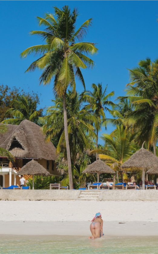 Main image Coco fesses (Tanzanie, Zanzibar)