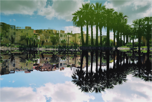 Oasis (Morocco, Fez)